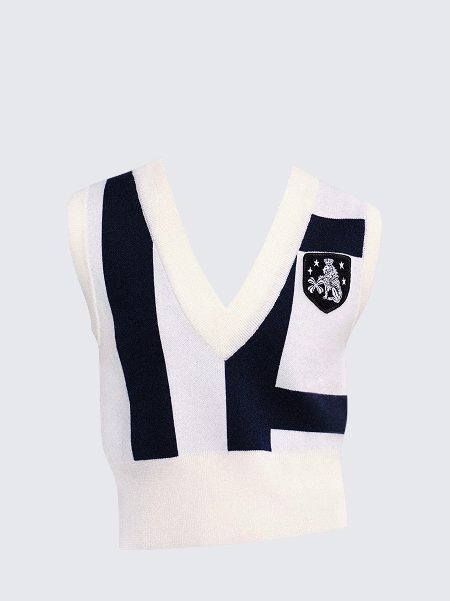 Vintage Academic Knit Vest