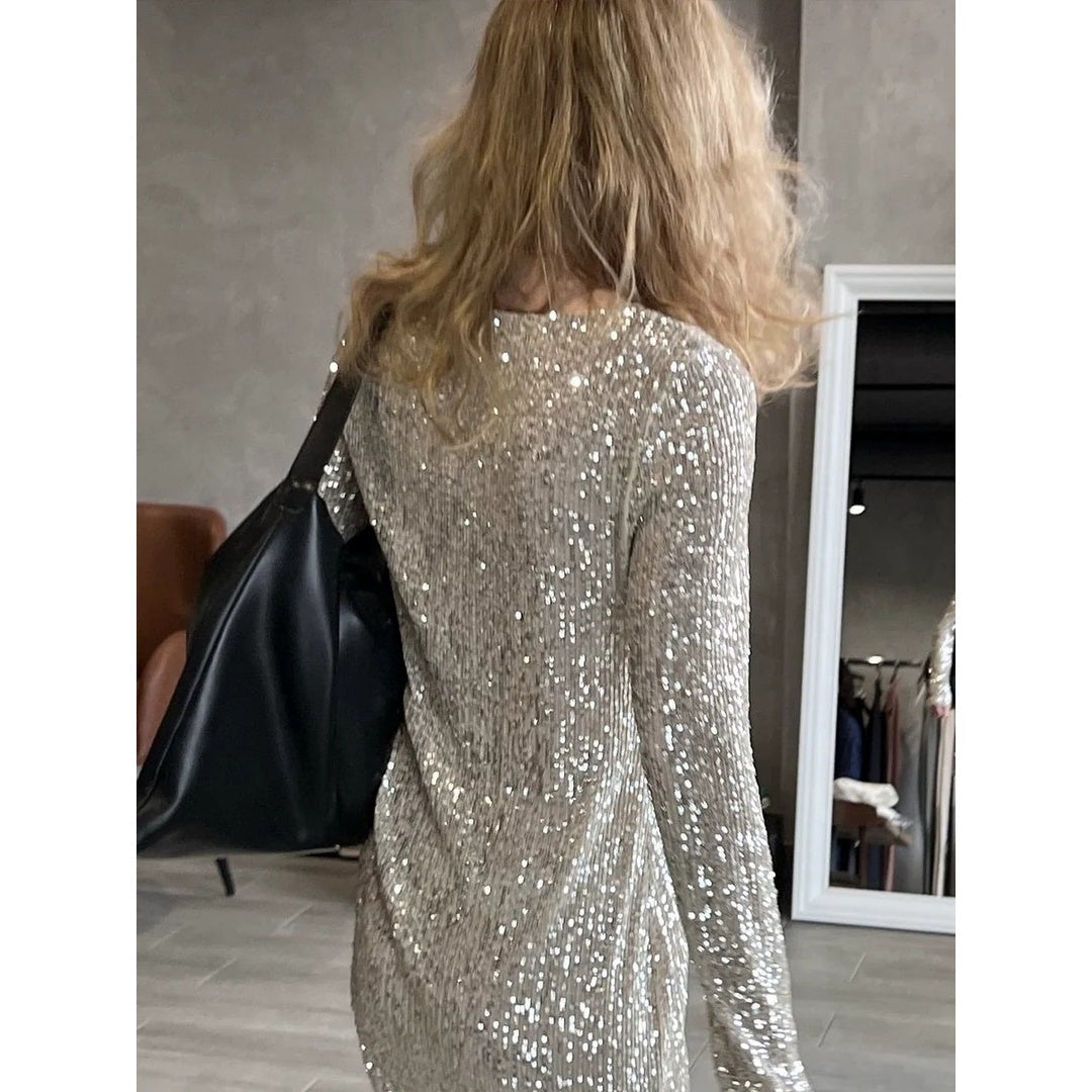 Silver Sequin Long Sleeve Top