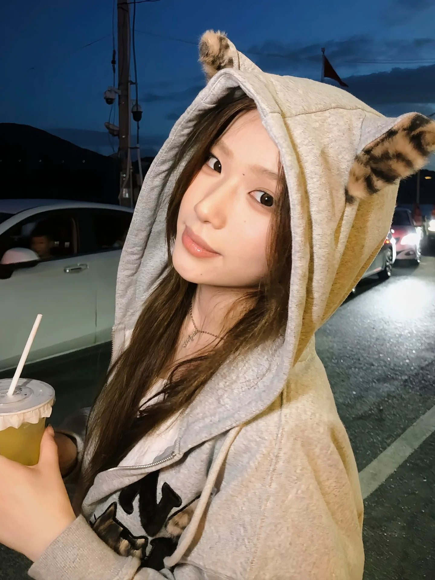 Retro Leopard Fur Cat Embroidered Hoodie