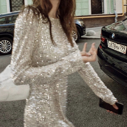 Silver Sequin Long Sleeve Top