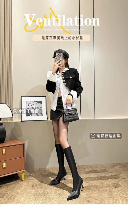 Minimalist Chic Pointed Toe Boots Women Winter New French Stretchy Over The Knee Biker Knee High Boots - tutufox - shoes