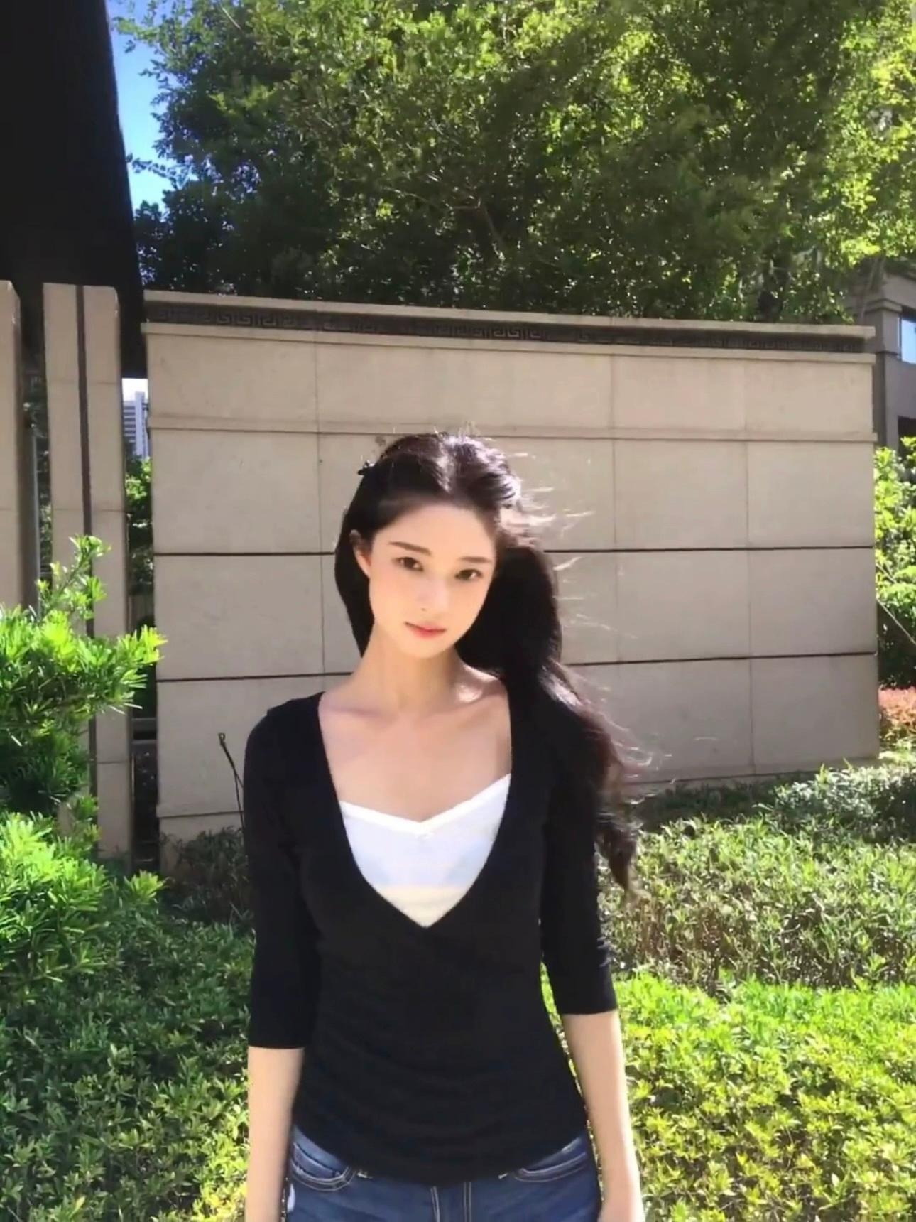 Black V-Neck Fake Layer Top